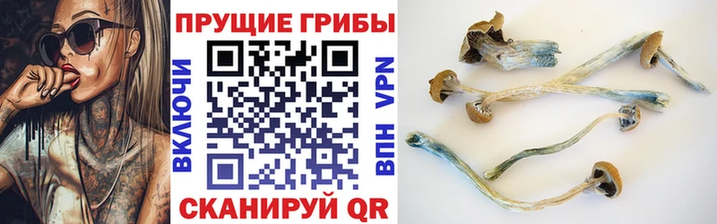 Псилоцибиновые грибы Psilocybine cubensis Чухлома