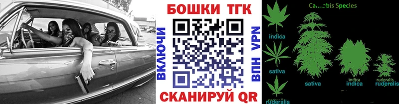 Конопля сатива  Чухлома 